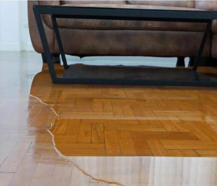 floor around furniture with standing water 
