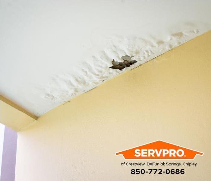Mold is seen growing on a ceiling with water damage.